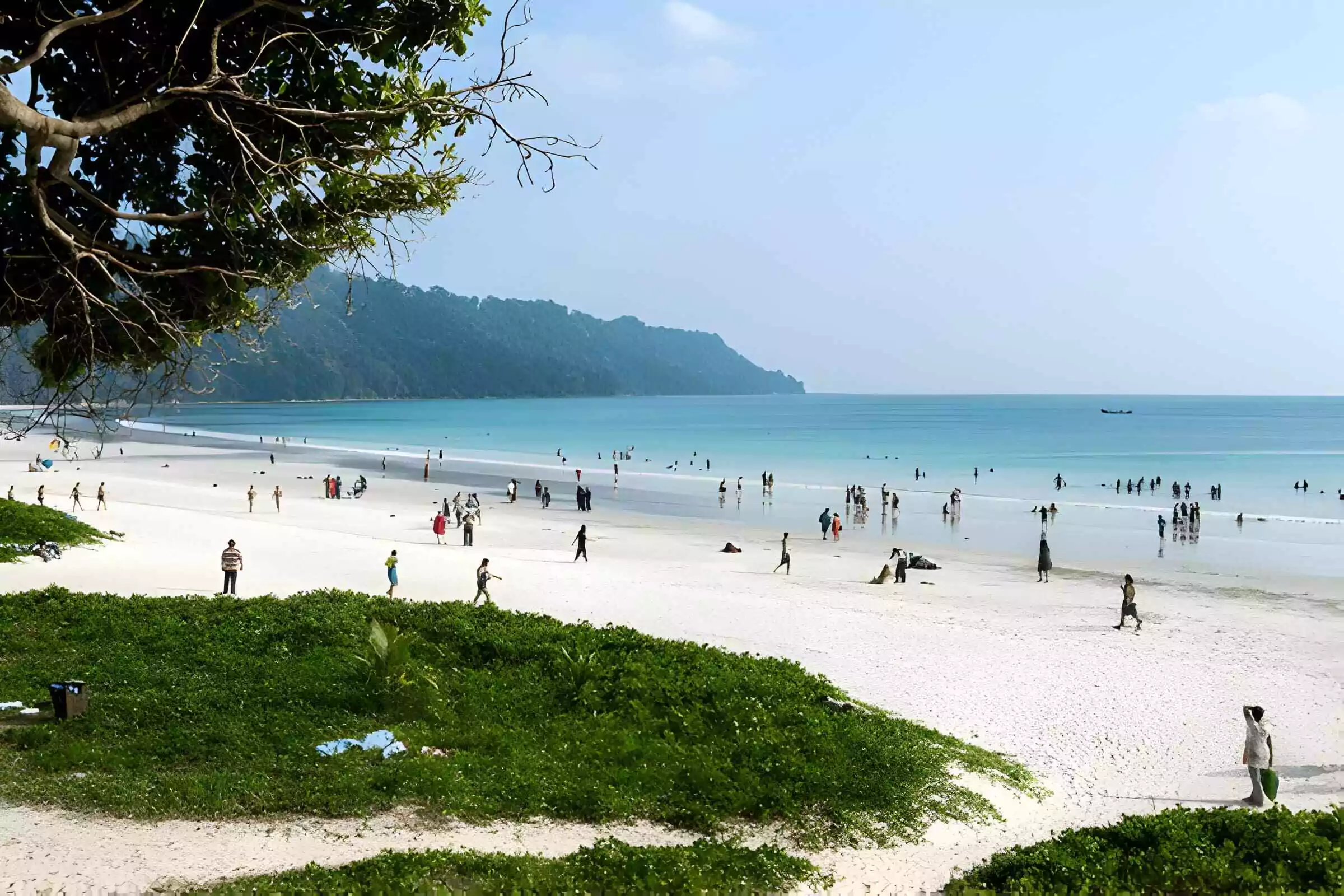 best travel agency in Andaman