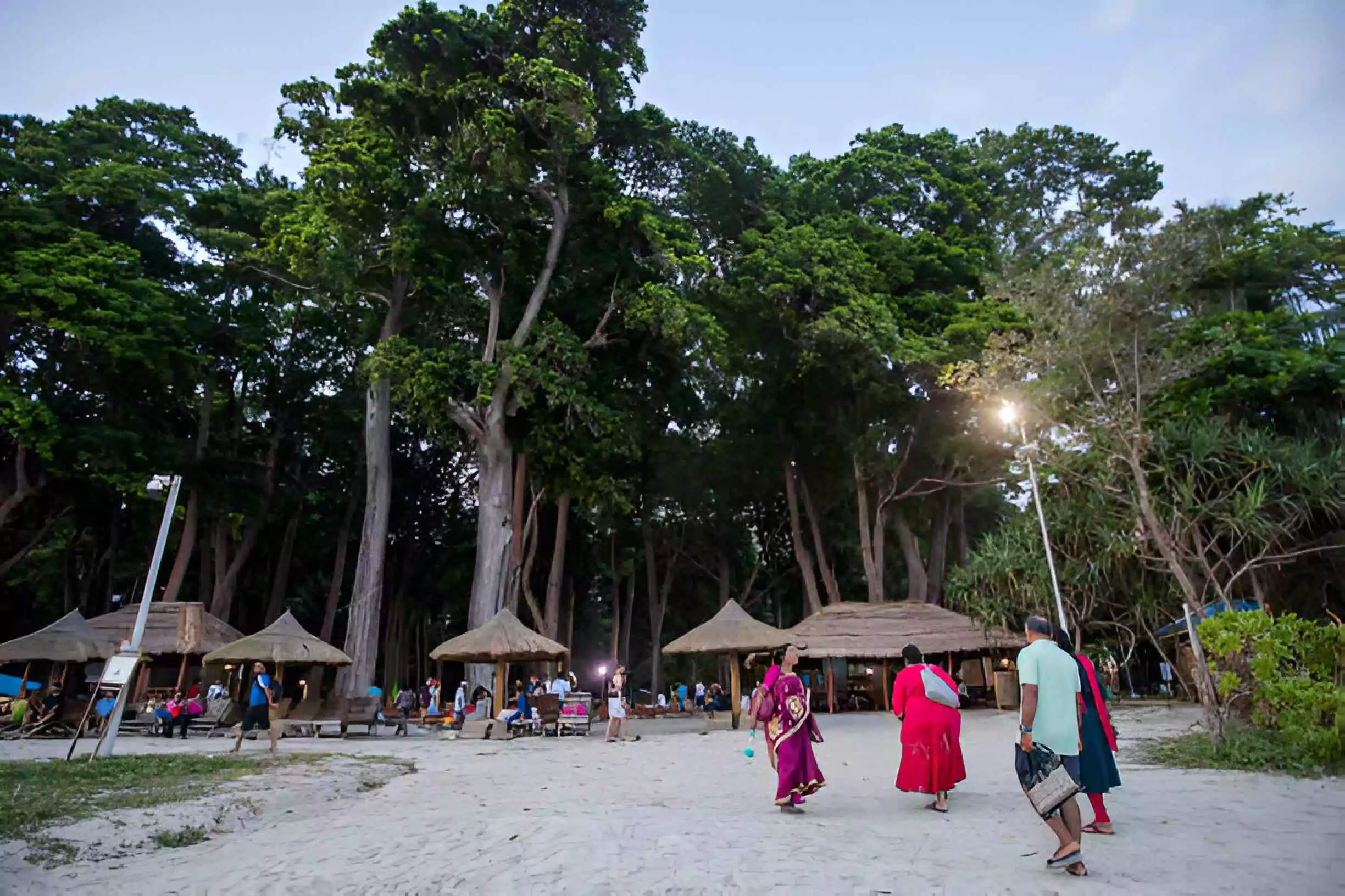 best travel agency in Andaman