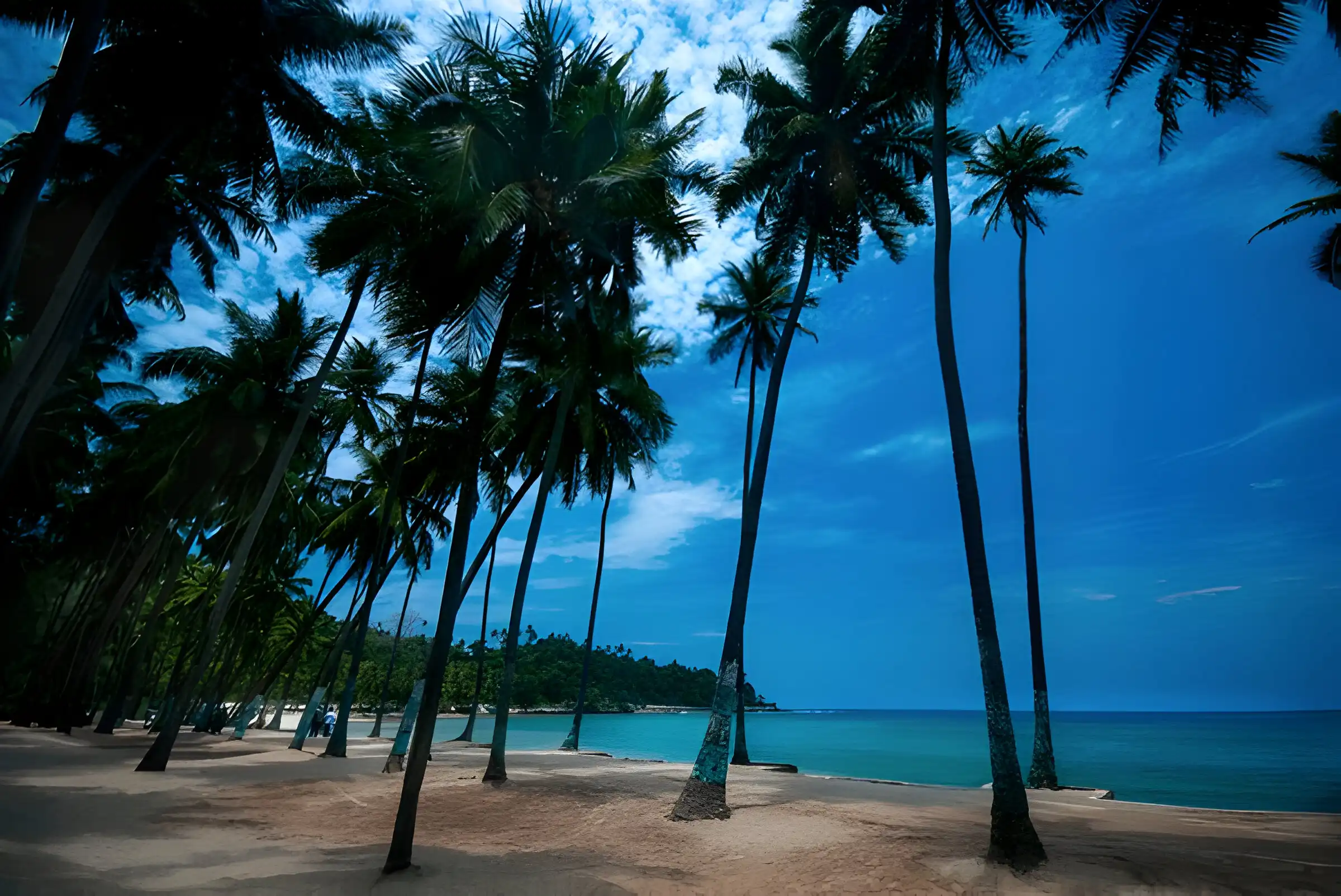 best travel agency in Andaman