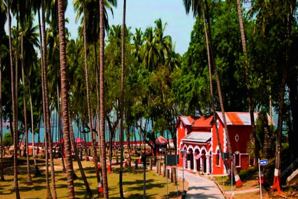 andman tour and travel